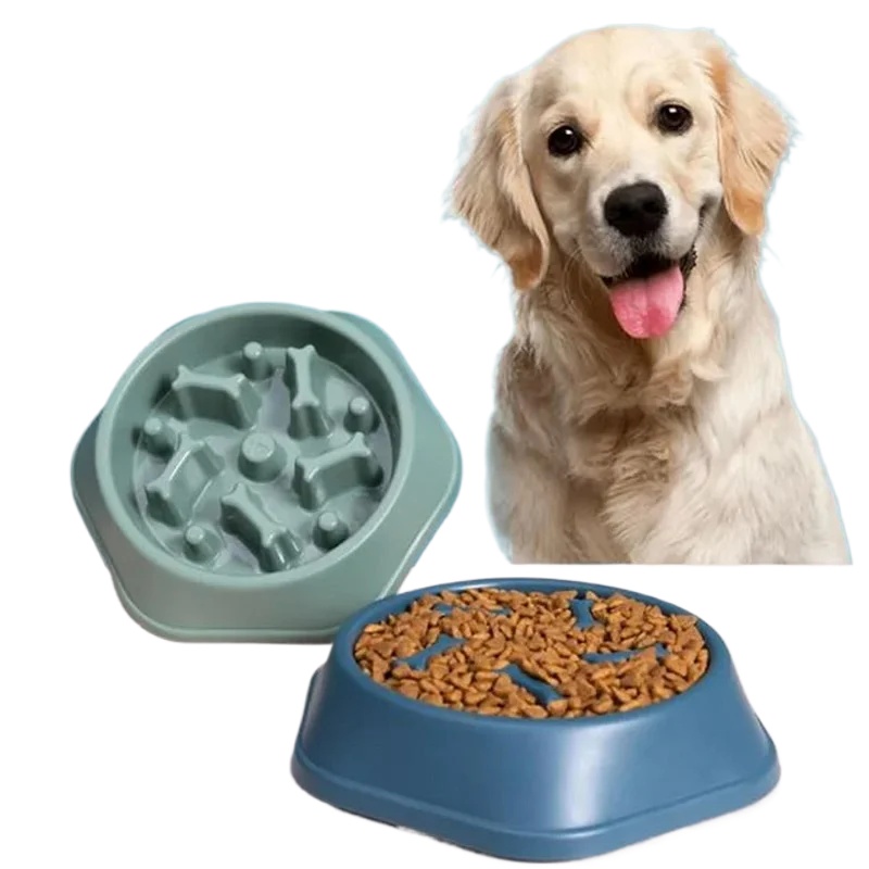 Royal Canin Food Medium - Langsamfütterungs-Napf für Hunde, rutschfester Katzen- und