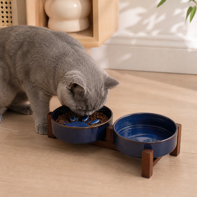 2027 Japanischer Keramik-Kattn – Royal Canin Food Medium Bewertung und Preis